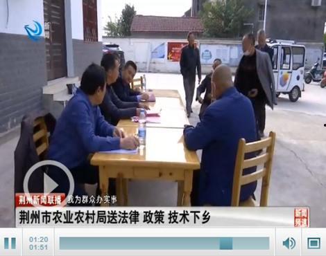 三桥最新爆料消息新闻,揭秘重大新闻背后的真相与内幕