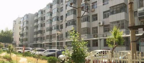 城南小区最新爆料新闻,揭秘真相与后续影响