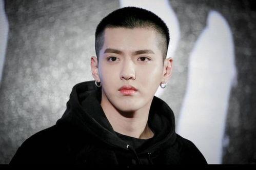 杨紫吴亦凡最新八卦爆料,最新八卦爆料揭秘真相